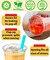 Clear Plastic Cups with Sip-Lids, 25 Sets Disposable Plastic Iced Coffee Cups with Strawless Lids, To Go Coffee Cup for Smoothie, Milkshake, Cold Drinks